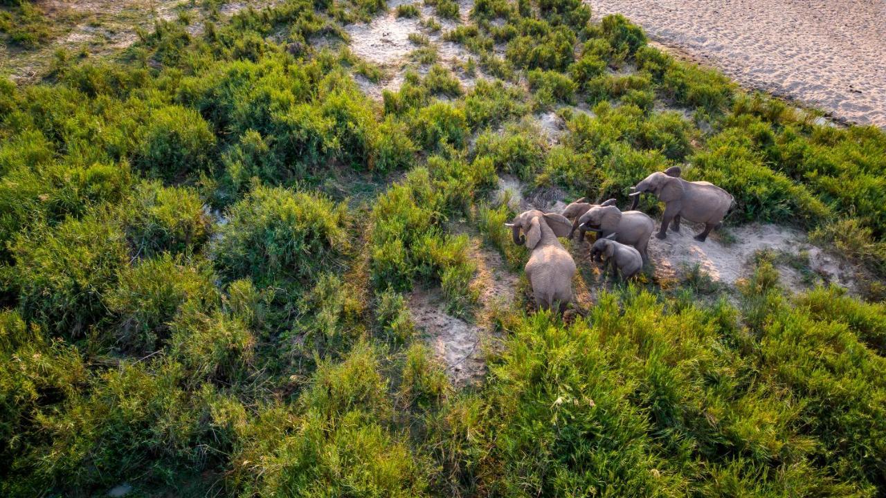 Buckler'S Africa Lodge Kruger Park Komatipoort Exterior photo